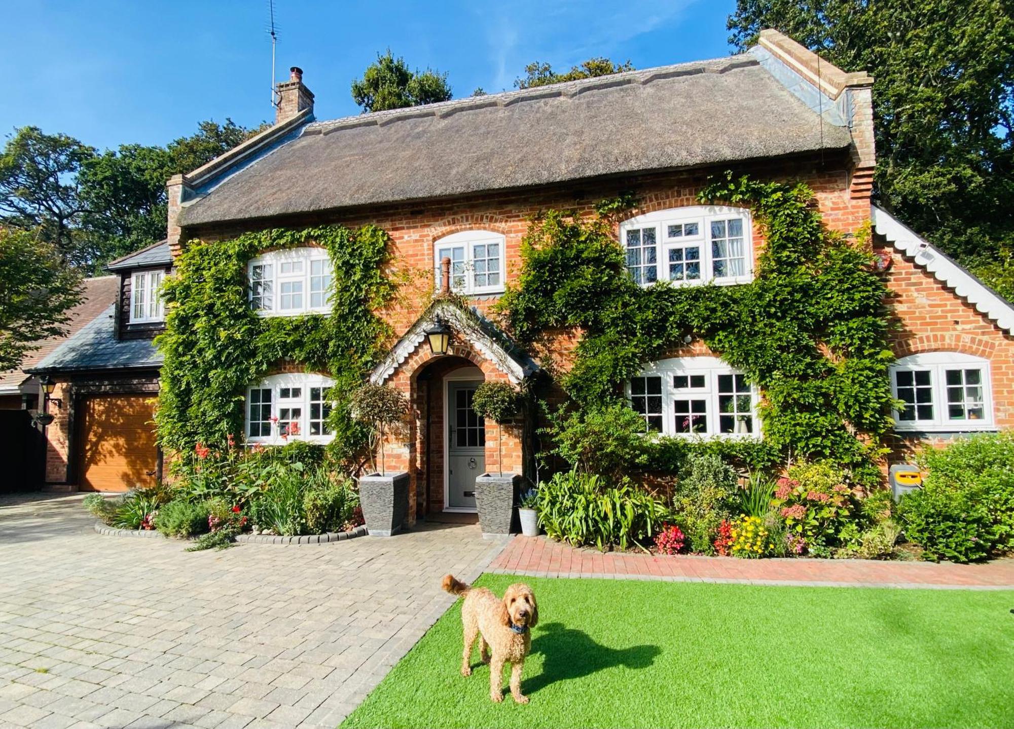 Little Woodside A Beautiful New Forest Self Contained Private Luxury Annexe New Milton Exterior photo