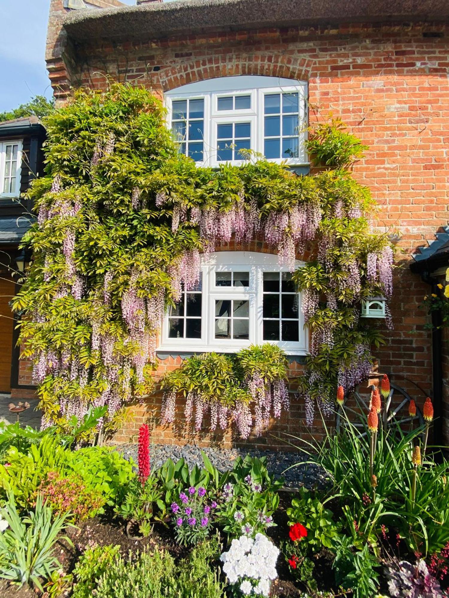 Little Woodside A Beautiful New Forest Self Contained Private Luxury Annexe New Milton Exterior photo
