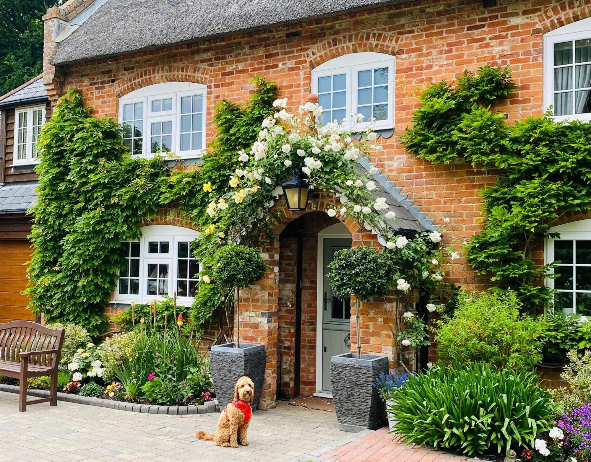 Little Woodside A Beautiful New Forest Self Contained Private Luxury Annexe New Milton Exterior photo