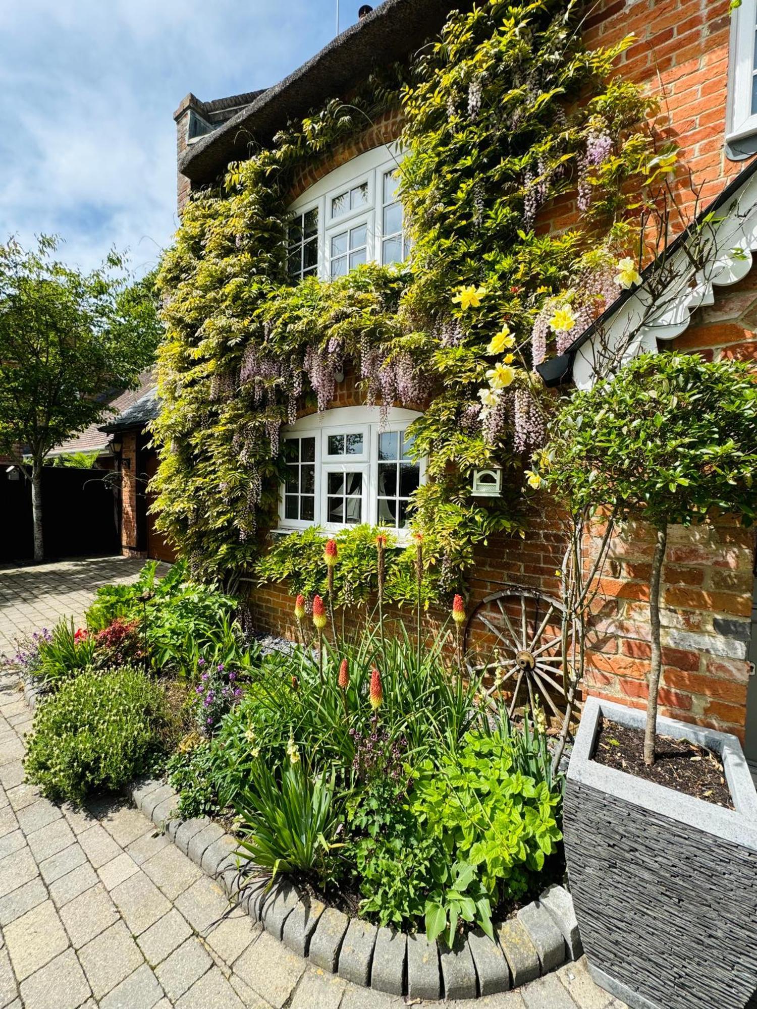 Little Woodside A Beautiful New Forest Self Contained Private Luxury Annexe New Milton Exterior photo