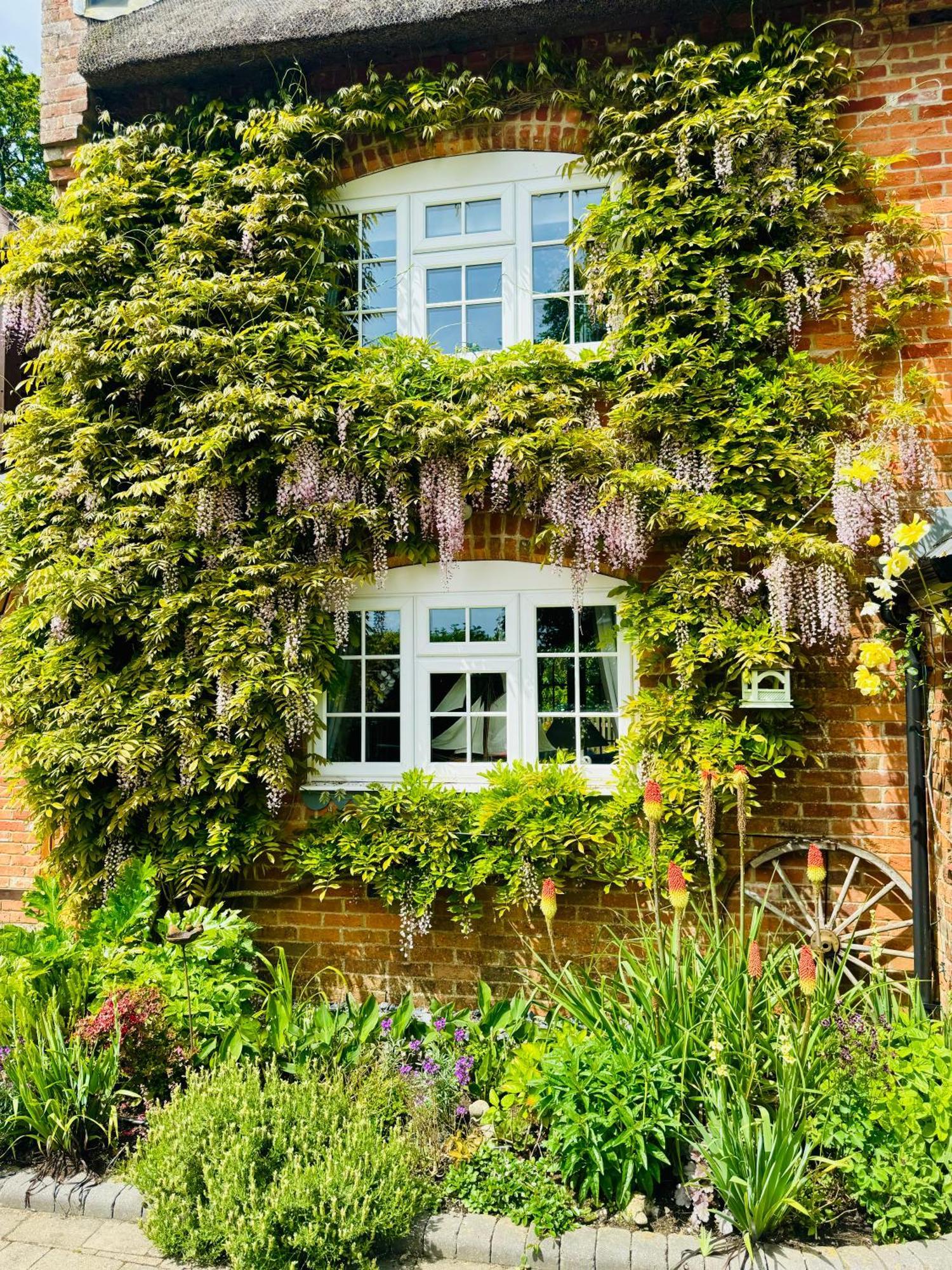 Little Woodside A Beautiful New Forest Self Contained Private Luxury Annexe New Milton Exterior photo